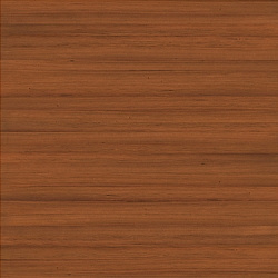 49ef2efc38943fab801888105f798501