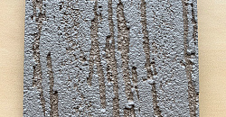 «Короед», «Кора дуба»