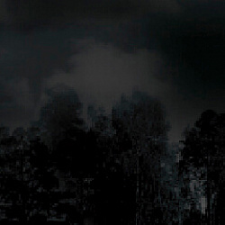 GR 9005 глянец